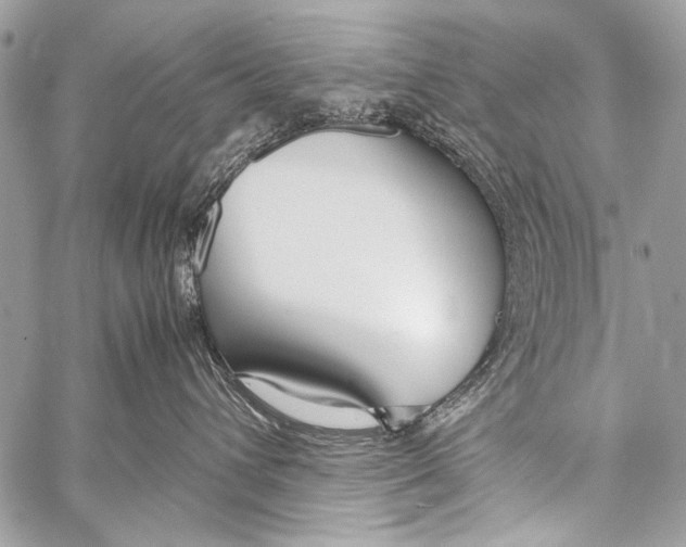 X0000057560432200510141353
