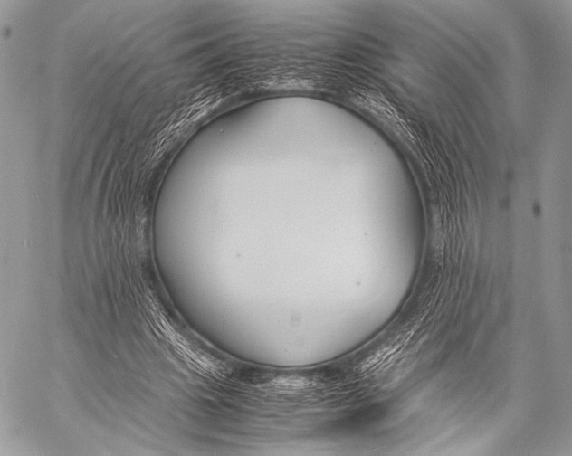 X0000057560441200510141352