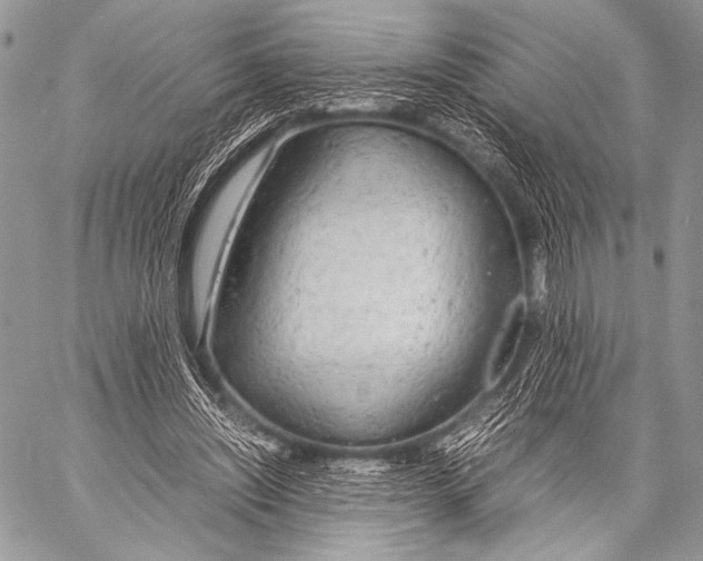 X0000057560444200510141352
