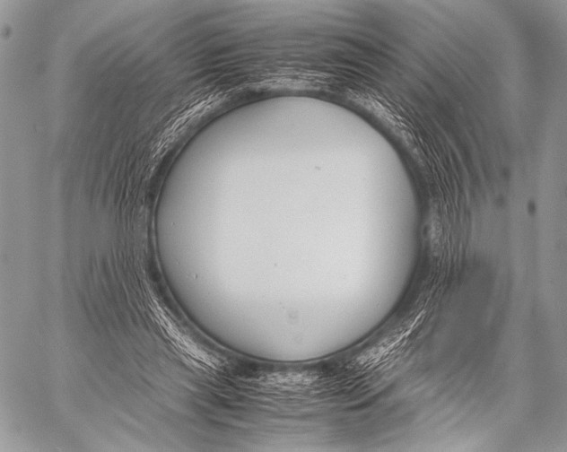 X0000057560445200510141352