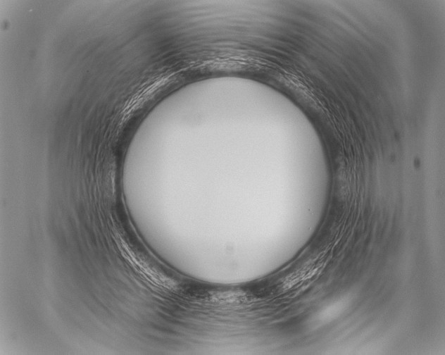 X0000057560446200510141352