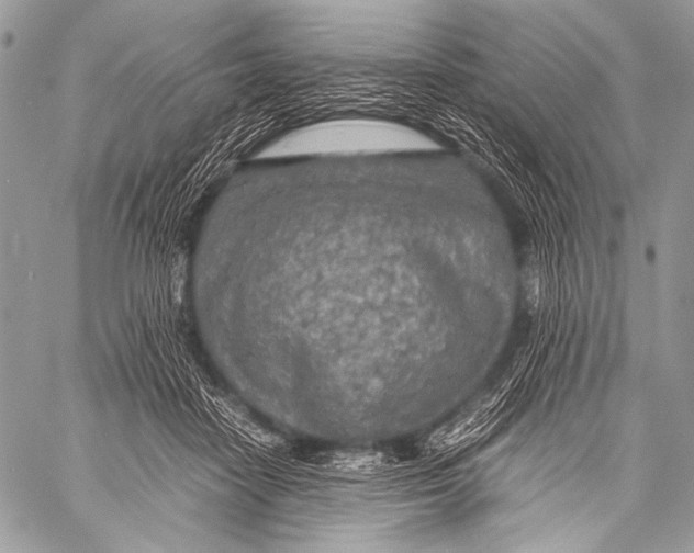 X0000057560458200510141353