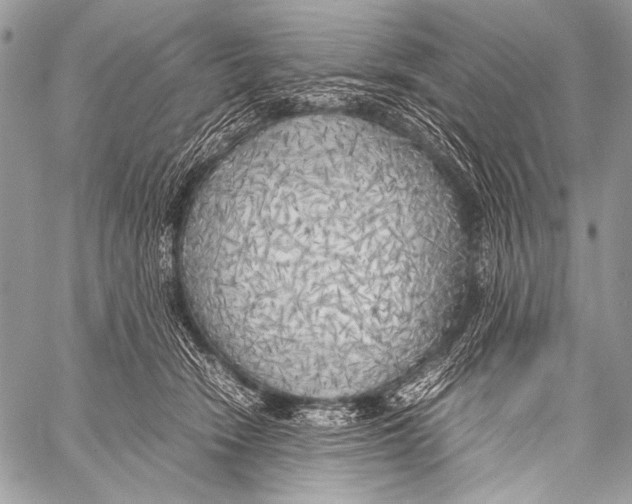 X0000057560466200510141353