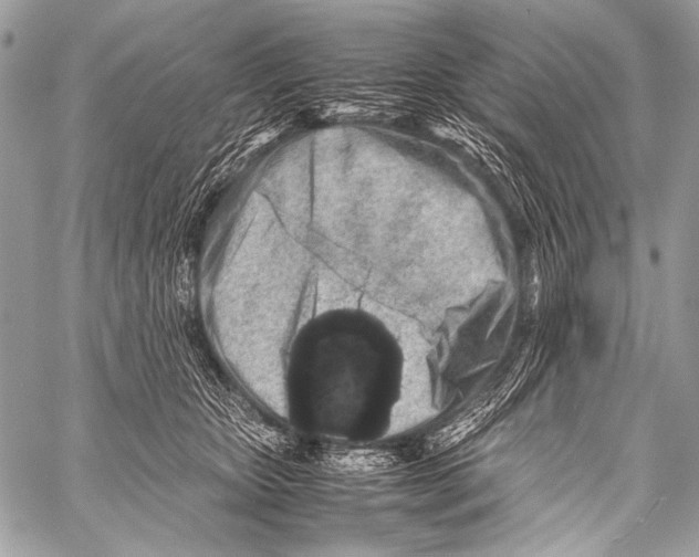 X0000057560467200510141353