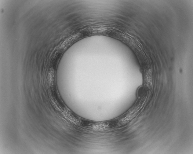 X0000057560468200510141353