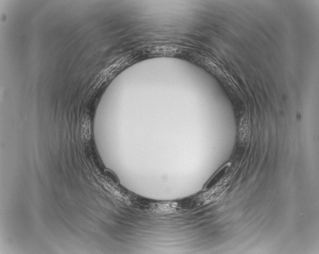 X0000057560474200510141353