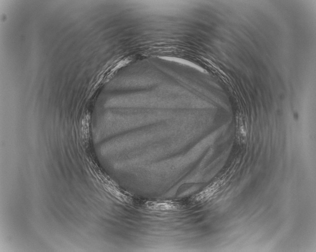 X0000057560475200510141353