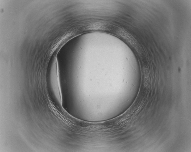 X0000057560482200510141352