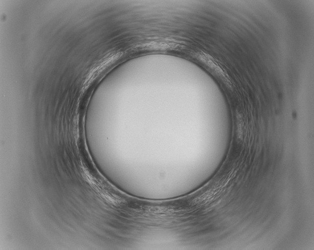 X0000057560486200510141352