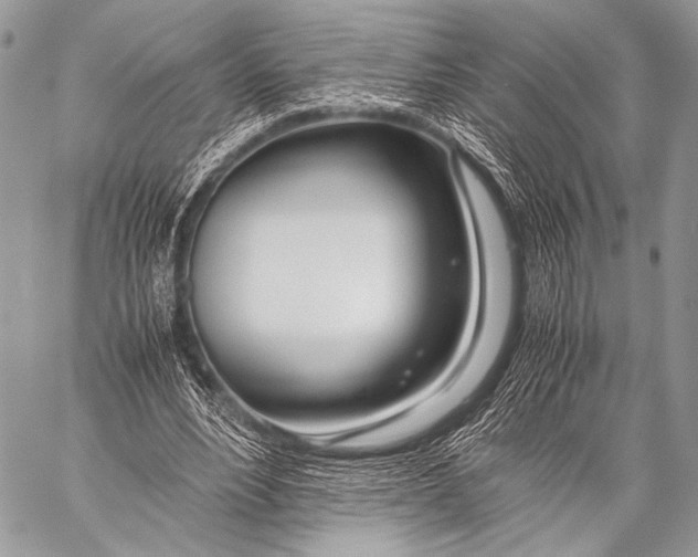 X0000057560488200510141352