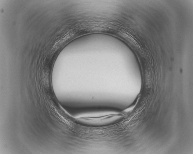 X0000057560489200510141352