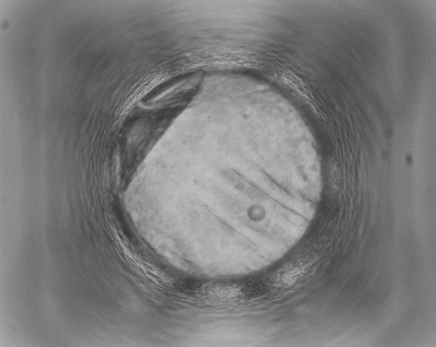 X0000057560491200510141352