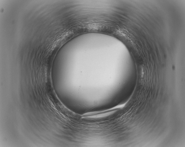X0000057560496200510141352