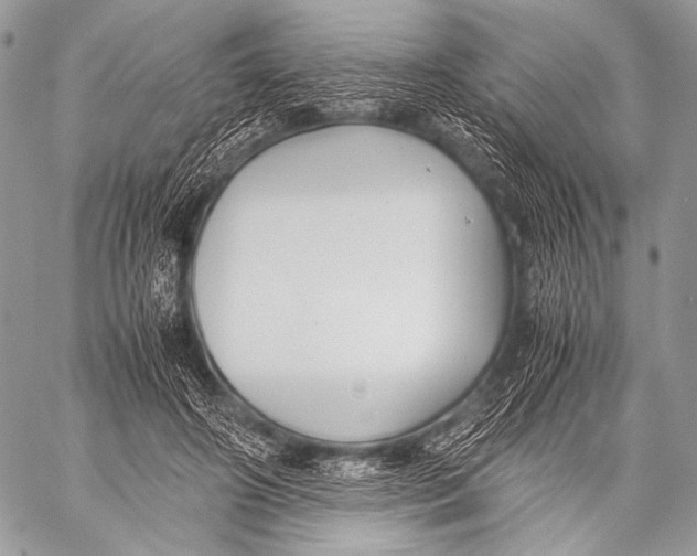 X0000057560498200510141352