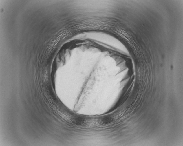 X0000057560499200510141352