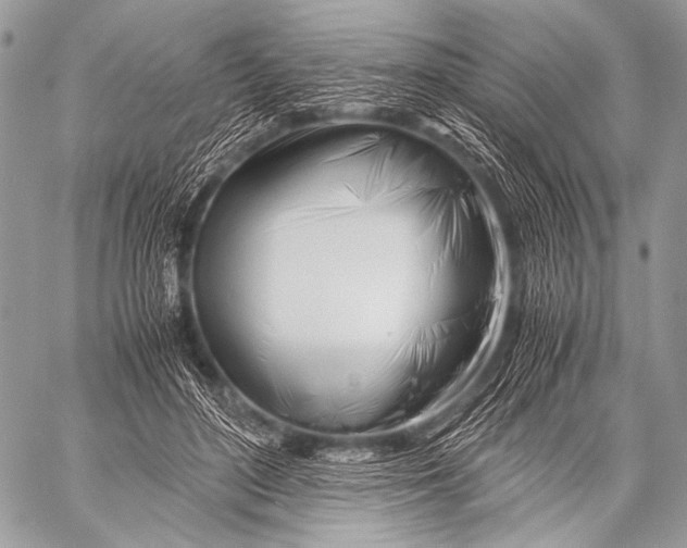 X0000057560500200510141352