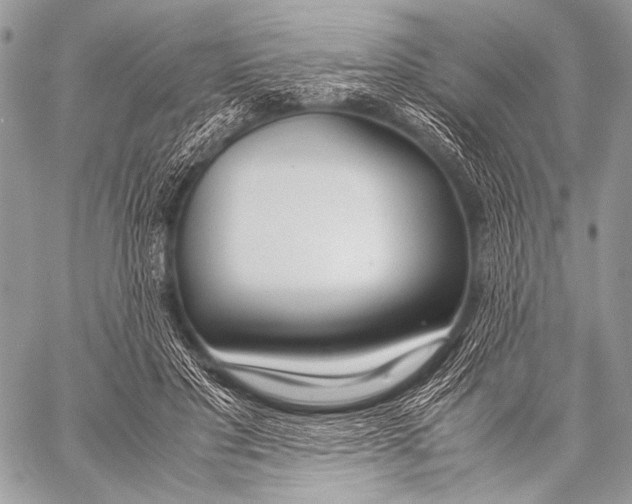 X0000057560501200510141352