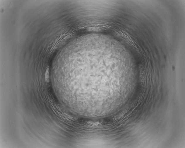 X0000057560502200510141352