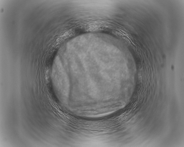 X0000057560503200510141352