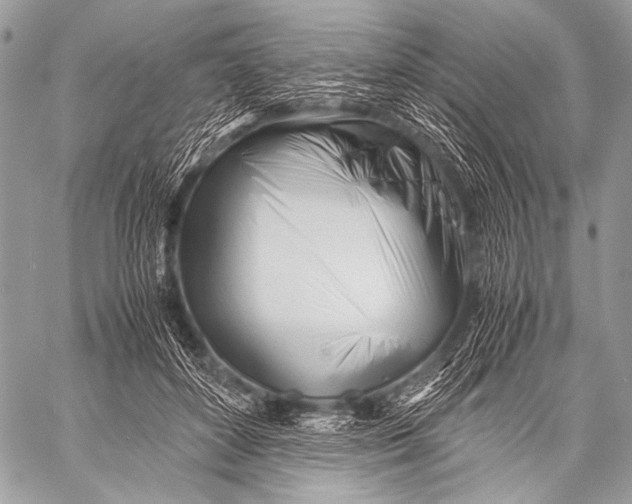 X0000057560504200510141352