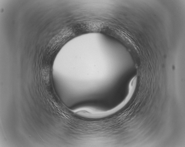 X0000057560505200510141352
