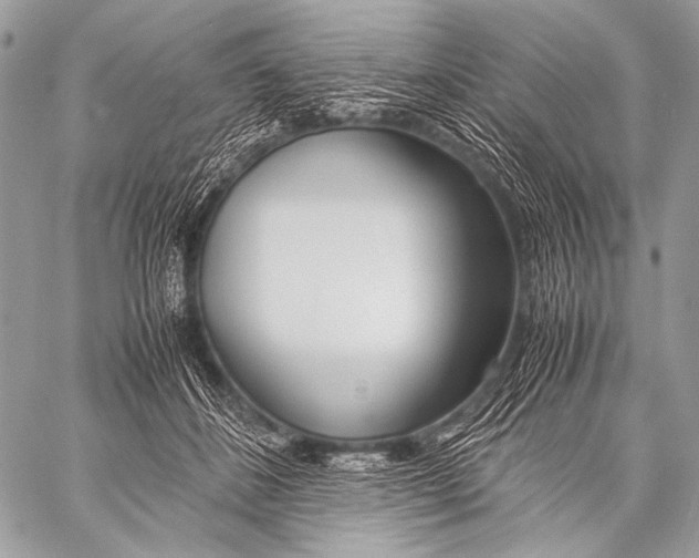 X0000057560508200510141352