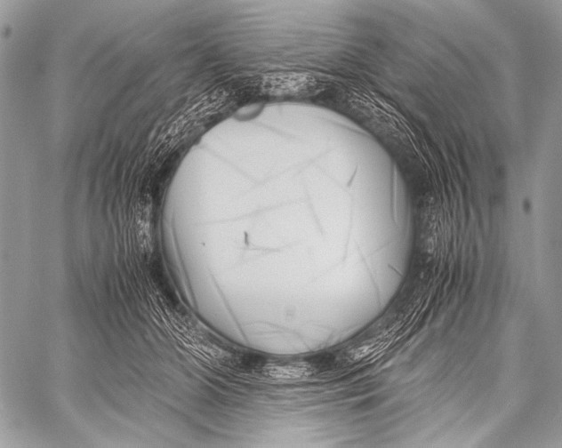 X0000057560510200510141352