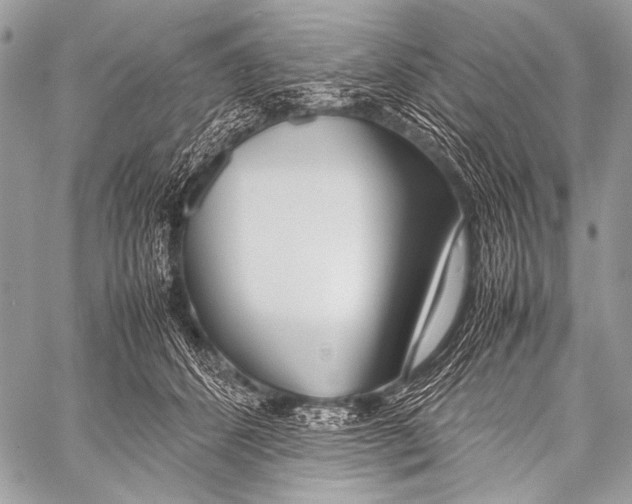 X0000057560512200510141352