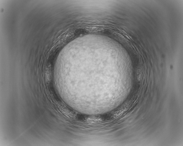 X0000057560515200510141352