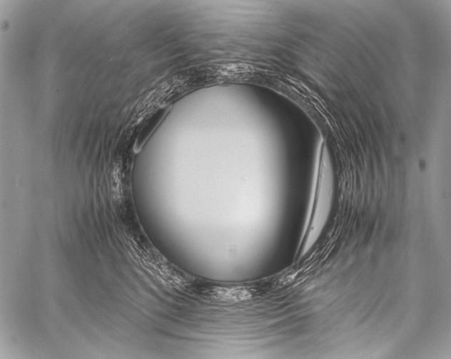 X0000057560520200510141352