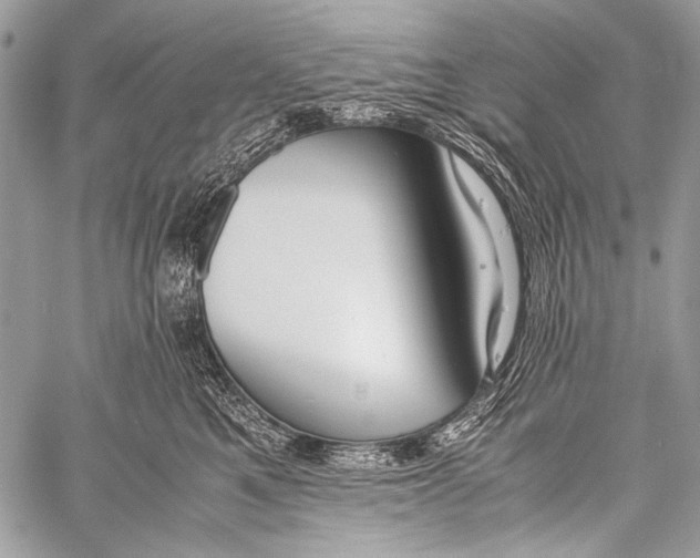 X0000057560521200510141352