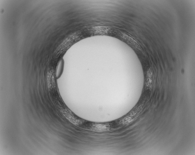 X0000057560522200510141352