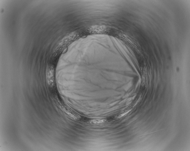 X0000057560526200510141352