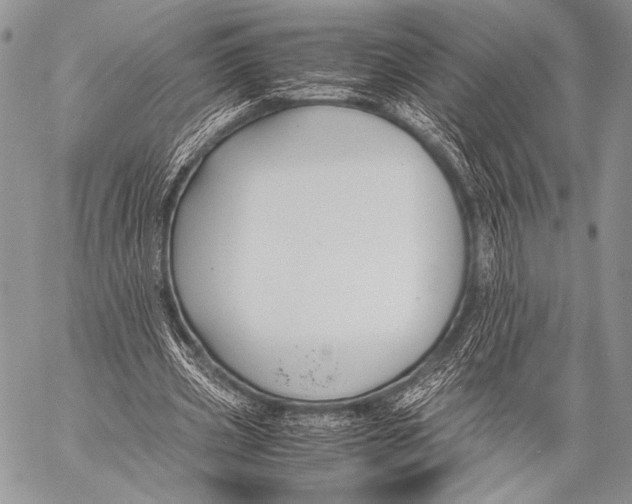 X0000057560533200510141351