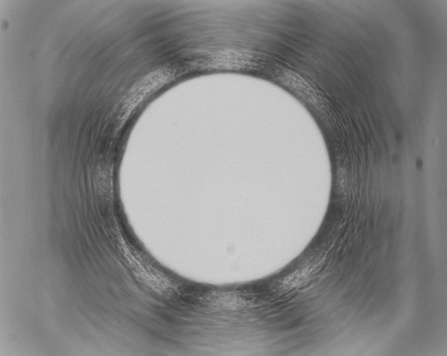 X0000057560534200510141351