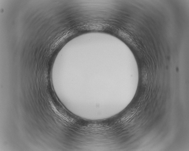 X0000057560538200510141351