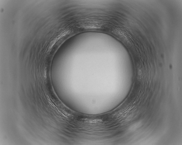 X0000057560539200510141351