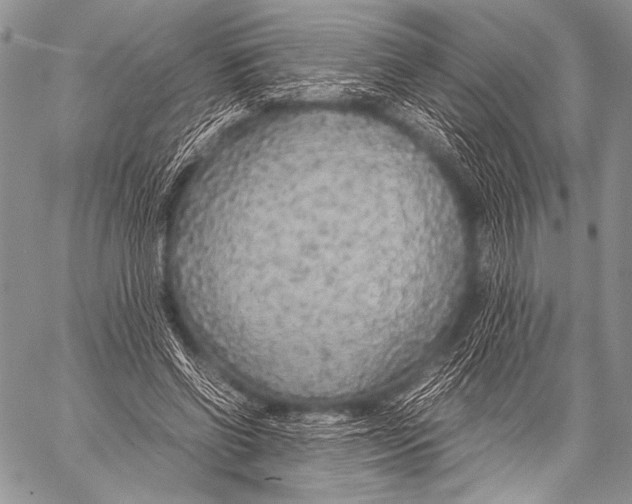 X0000057560542200510141351