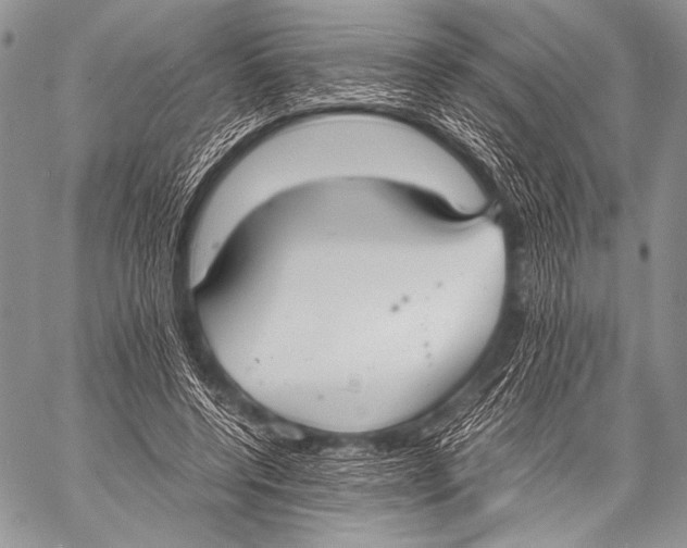 X0000057560544200510141351