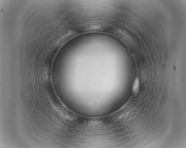 X0000057560546200510141351