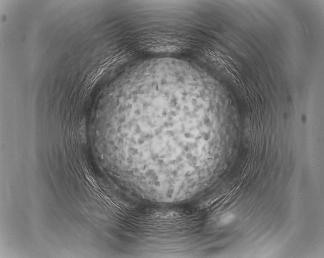 X0000057560547200510141351