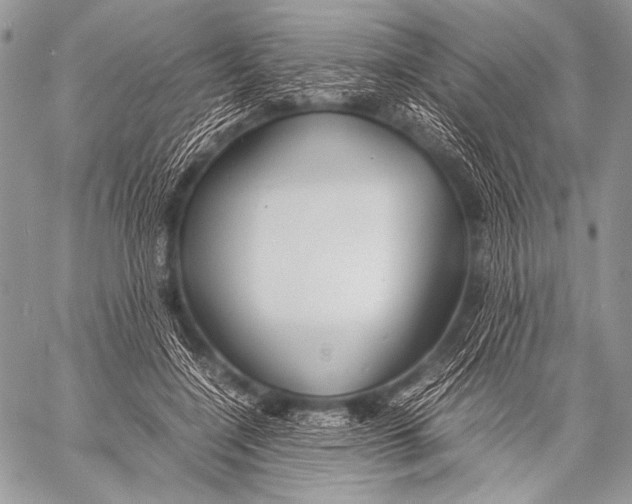 X0000057560548200510141351