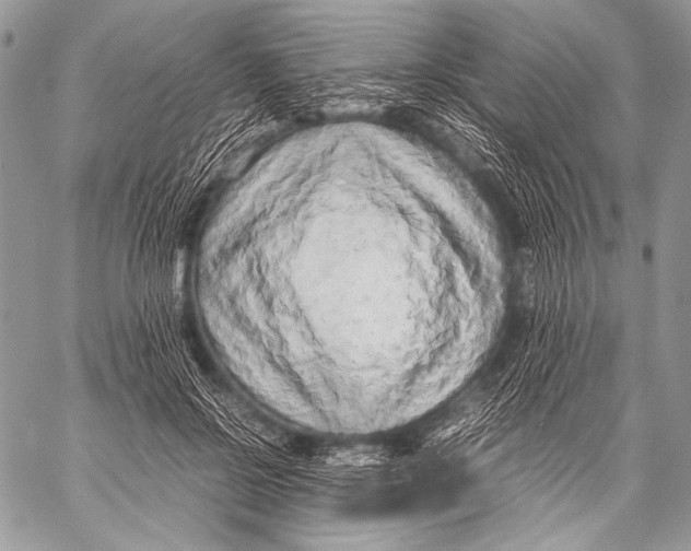 X0000057560550200510141351