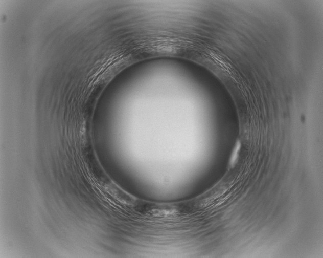 X0000057560552200510141351