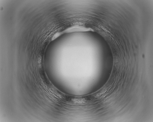 X0000057560556200510141351
