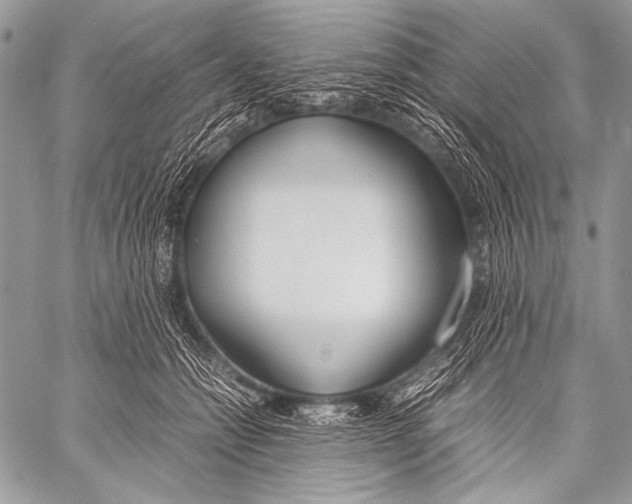 X0000057560558200510141351