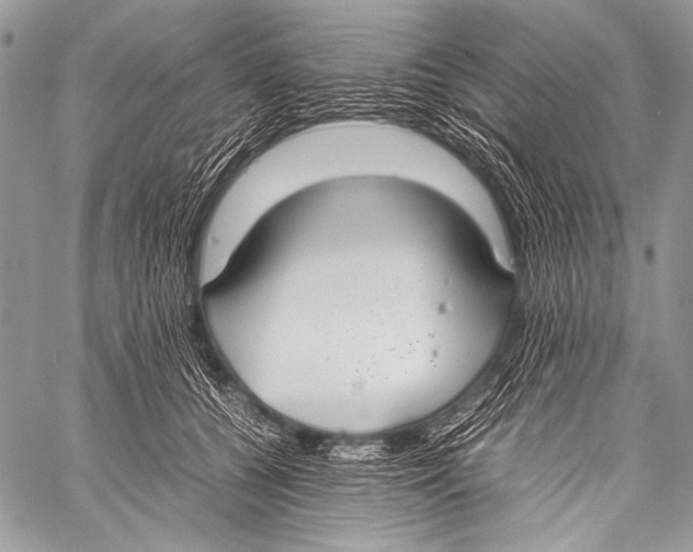 X0000057560560200510141351