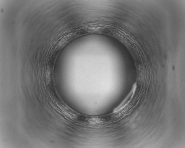 X0000057560562200510141351