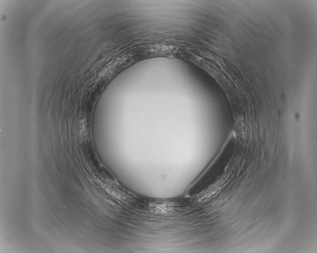 X0000057560564200510141351