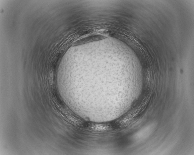 X0000057560565200510141351